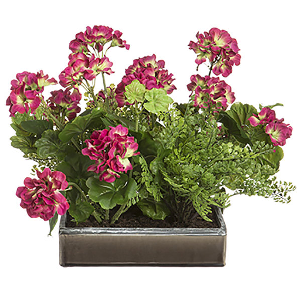 Gracie Oaks Silk Geranium Floral Arrangement in Planter Wayfair
